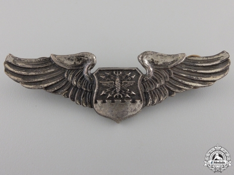 Basic Wings (with sterling silver) Obverse