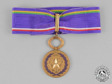 Order of Academic Palms, Commander Obverse