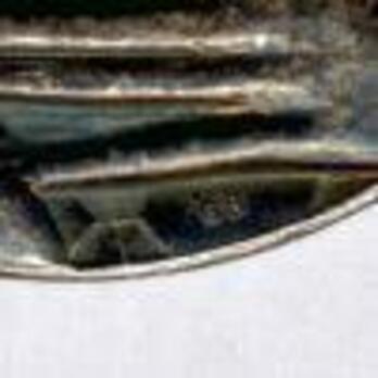 Silver Medal (with silver, with 1 clasp) Obverse Detail