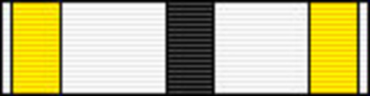 Officer (for Architecture, 2000-) Ribbon