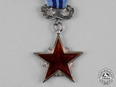 Order of the Red Star of Labour, Decoration (1955-1960)