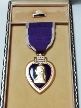 Inside view of box. Medal, lapel pin and medal bar.