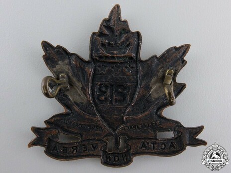 213th Infantry Battalion Other Ranks Cap Badge Reverse