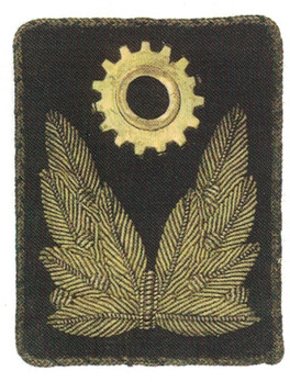 TeNo Landesführer 1936 pattern Collar Tabs Obverse