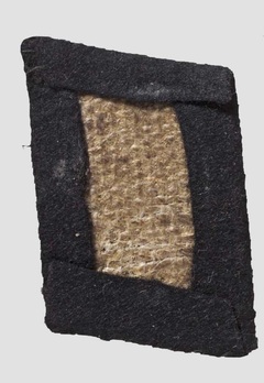 SS-TV Company 4th Company Collar Tabs Reverse