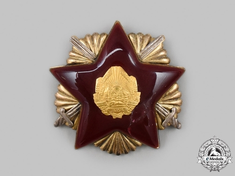 Order for Defence of the Fatherland, I Class Breast Star (version 1)