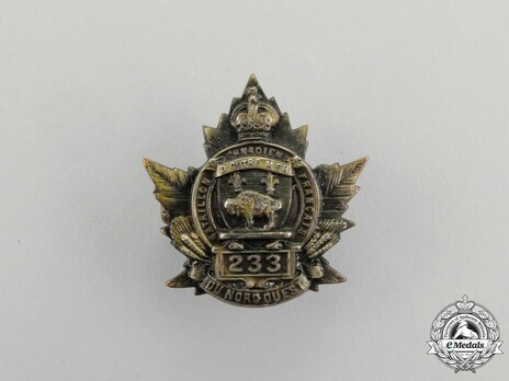 233rd Infantry Battalion Officers Collar Badge Obverse