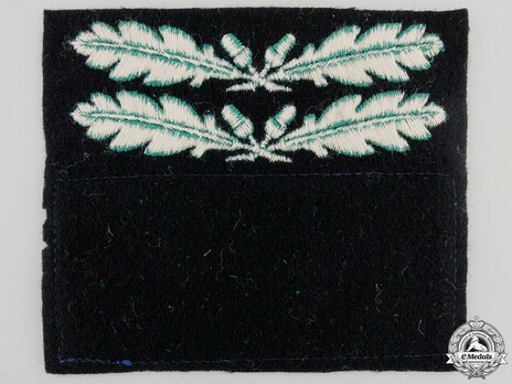 Waffen-SS Oberführer Sleeve Rank Insignia Reverse