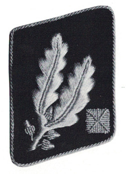 Allgemeine SS Pre-1942 Brigadeführer Collar Tabs Obverse