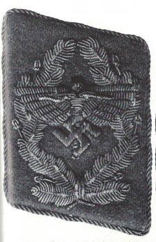 NSFK Korpsführer Collar Tabs Obverse