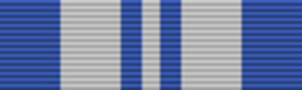 Correctional services medal2