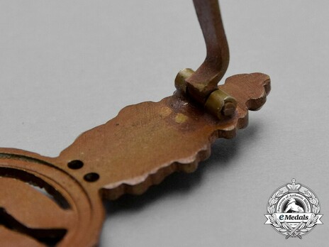 Short-Range Day Fighter Clasp, in Bronze Detail