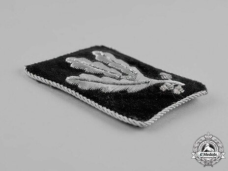 Waffen-SS Pre-1942 Gruppenführer Collar Tabs Obverse