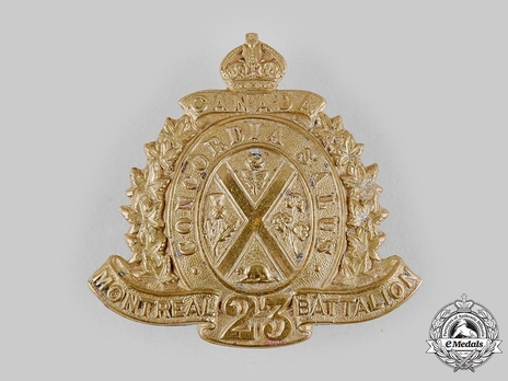 23rd Infantry Battalion Other Ranks Cap Badge Obverse