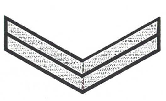DAF 3rd Pattern Werkscharführer Sleeve Rank Insignia Obverse
