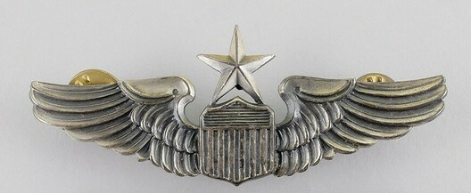 Senior Pilot Wings Obverse