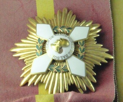 Extraordinary Grand Cross Breast Star Obverse