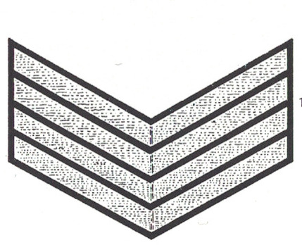 DAF 3rd Pattern Ortsobmann & Ortswerkscharstammführer Sleeve Rank Insignia Obverse