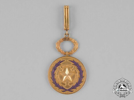 Order of Academic Palms, Commander Obverse