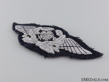 Luftwaffe Flight Technical Personnel Insignia (Officer version) Obverse