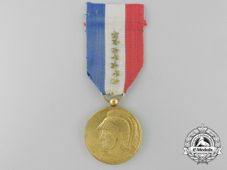 Medal for Long Service in the Fuerzas Armadas Revolucionarias (in Bronze) Obverse
