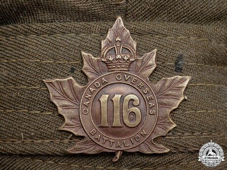 116th Infantry Battalion Other Ranks Cap Badge Obverse