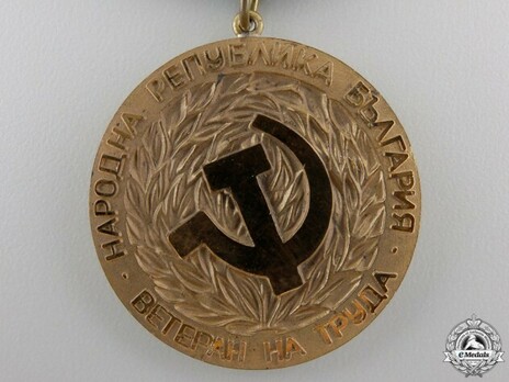 Veteran of Labour Medal Obverse