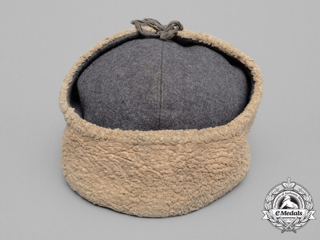 Luftwaffe Winter Field Cap (Wool version) Reverse