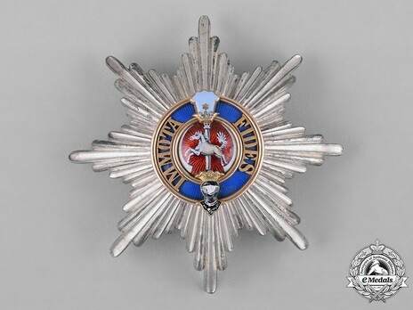 Dukely Order of Henry the Lion, I Class Breast Star Obverse