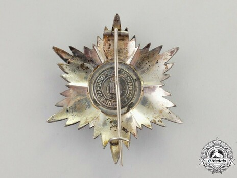 Order of Fidelity, Type II, Grand Officer's Breast Star Reverse