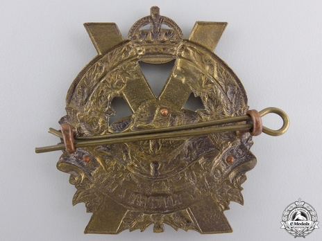 Calgary Highlanders Other Ranks Cap Badge Reverse