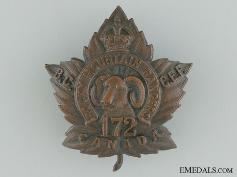 172nd Infantry Battalion Other Ranks Collar Badge Obverse