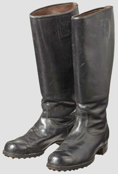 NSDAP Boots Obverse