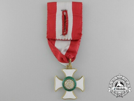 Hungarian Military Order of Maria Theresa, Knight Reverse