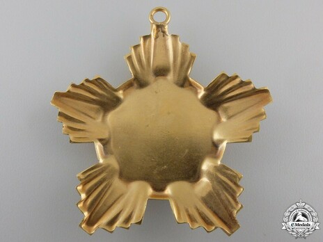 Order of the Victory of Socialism, Breast Star (in bronze gilt) Reverse