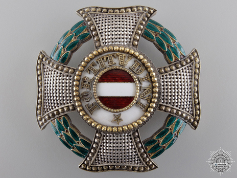 Grand Cross Breast Star (in silver gilt) Obverse