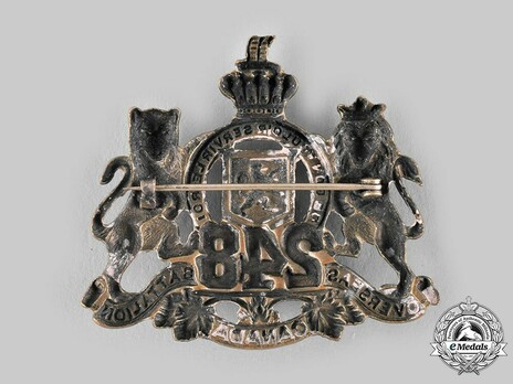 248th Infantry Battalion Officers Cap Badge Reverse