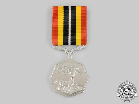 Southern Africa Medal (uniface suspender)