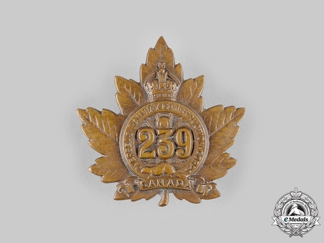 239th Infantry Battalion Other Ranks Cap Badge Obverse