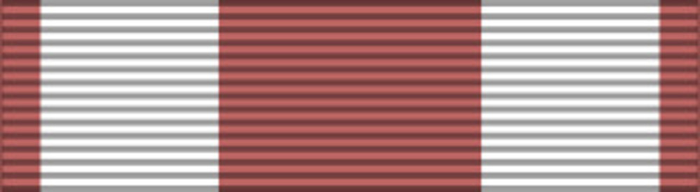 2nd repub ribbon1