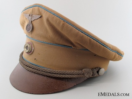 NSDAP Ortsgruppenleitung Visor Cap M34 Profile Left