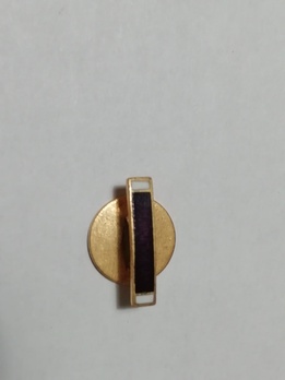 lapel pin