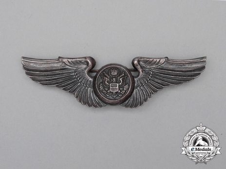 Basic Wings (with sterling silver) Obverse