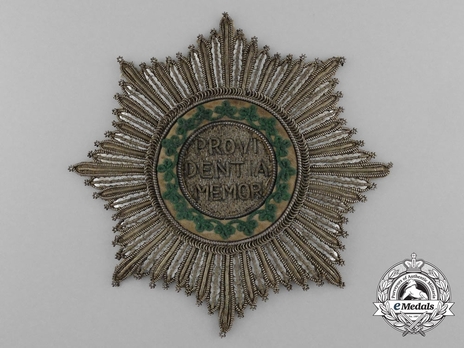 Order of the Rue Crown, Breast Star (embroidered) Obverse