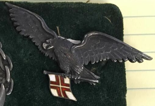 Navy Pilot Aviator Badge Obverse (Missing chain)