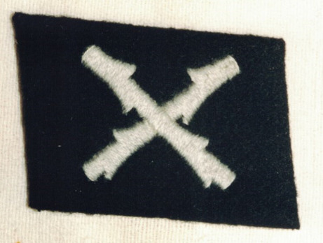 Waffen-SS 'Wallonien' Division Collar Tab Obverse