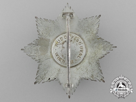 I Class Star (for combat service, with swords) Reverse