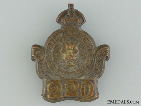 220th Infantry Battalion Other Ranks Collar Badge Obverse