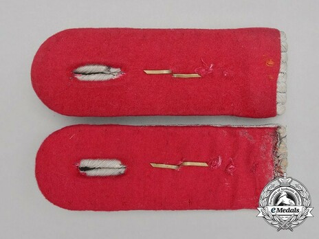 German Army Veterinary Oberleutnant Shoulder Boards Reverse