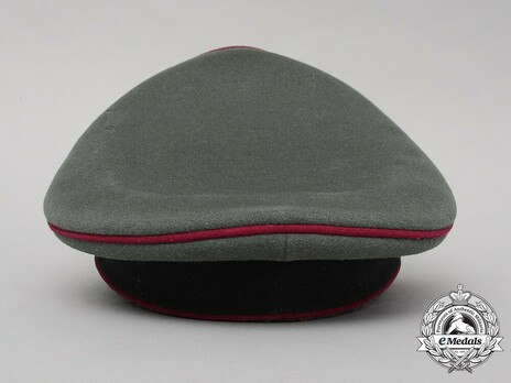 German Army Smoke & Chemical Officer's Visor Cap Back